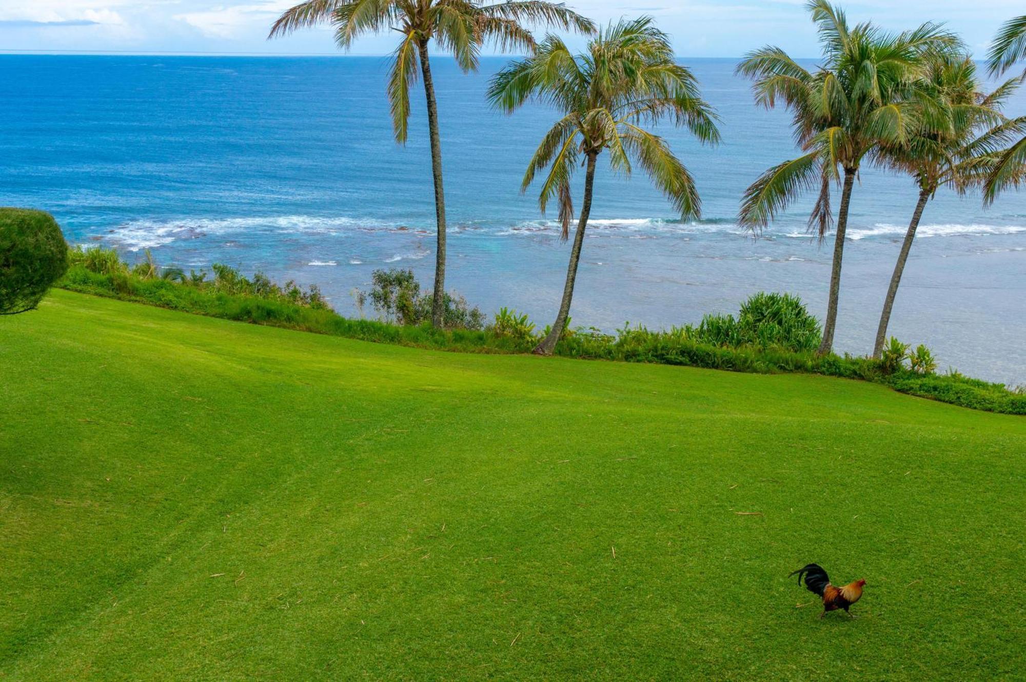 Sealodge J9 Princeville Exteriör bild